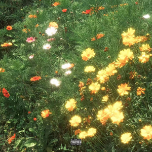 终于被外国大鸡巴插了
