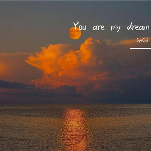 终于被外国大鸡巴插了
