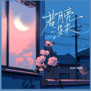 终于被外国大鸡巴插了
